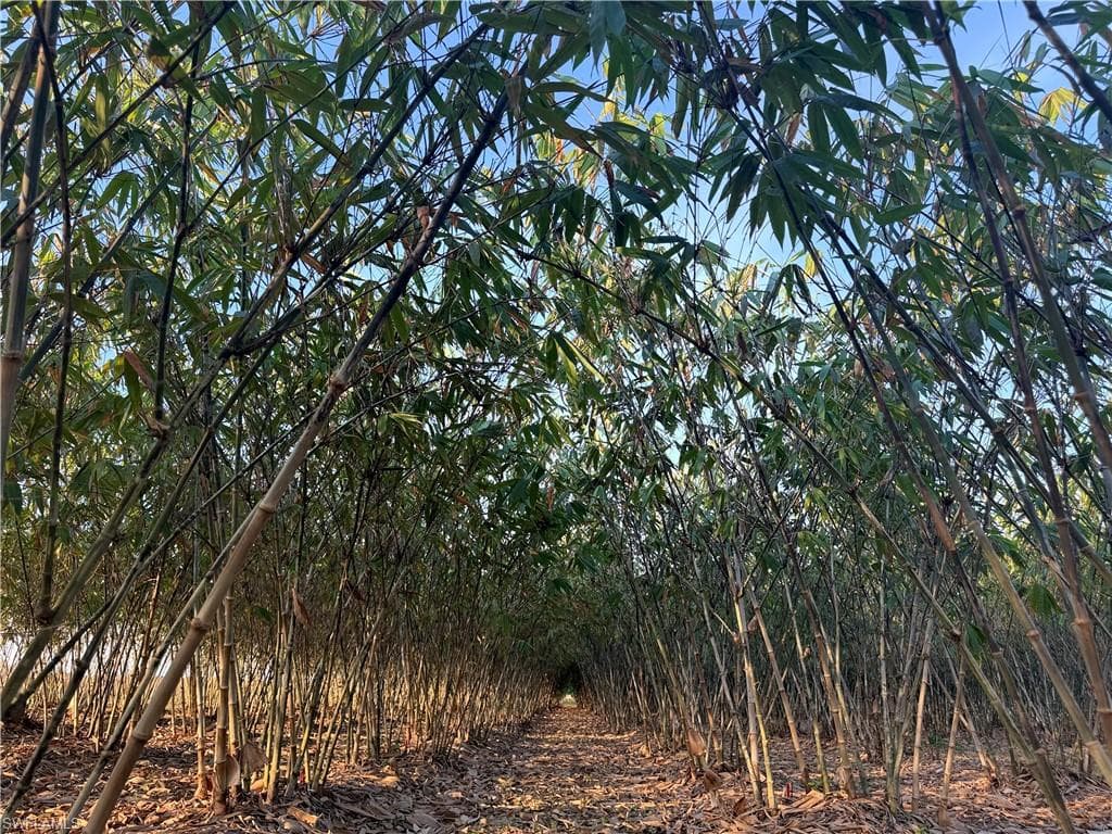 6724 5th RD, LABELLE FL 33935-1