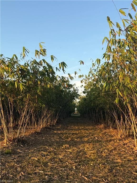 6724 5th RD, LABELLE FL 33935-12