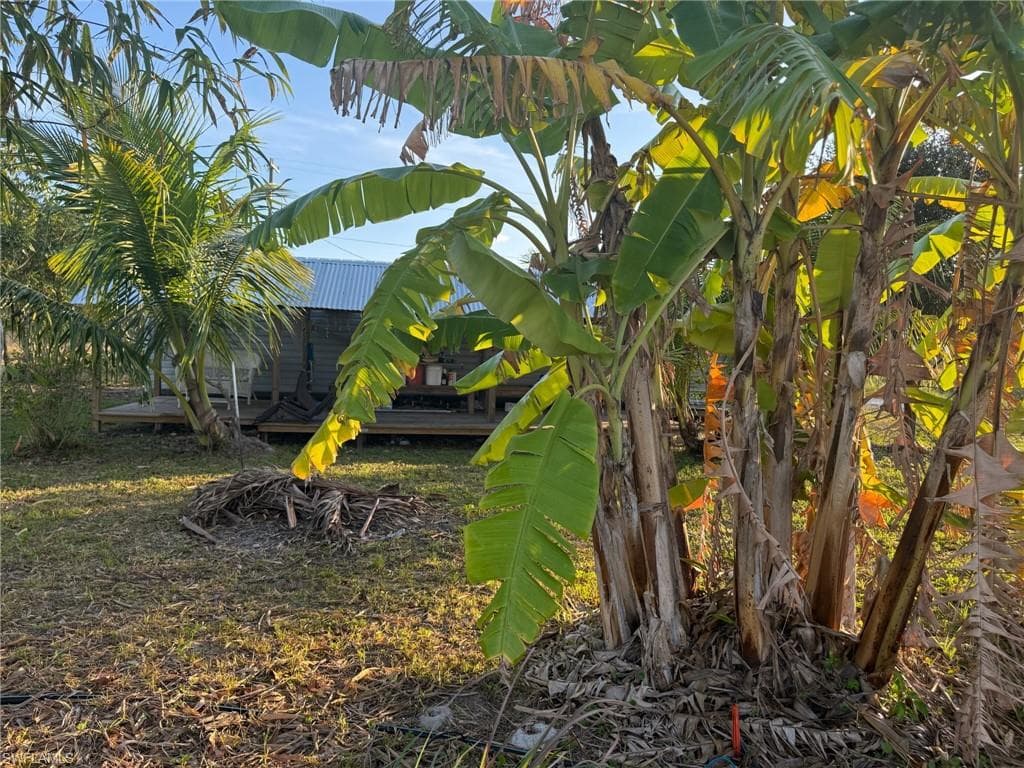 6724 5th RD, LABELLE FL 33935-11