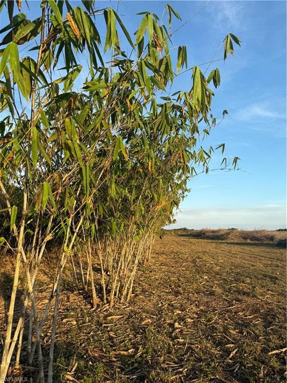 6724 5th RD, LABELLE FL 33935-4