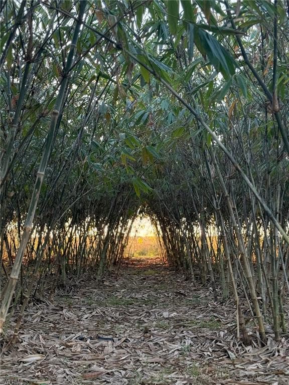 6724 5th RD, LABELLE FL 33935-13