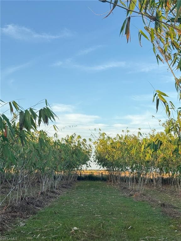 6724 5th RD, LABELLE FL 33935-14