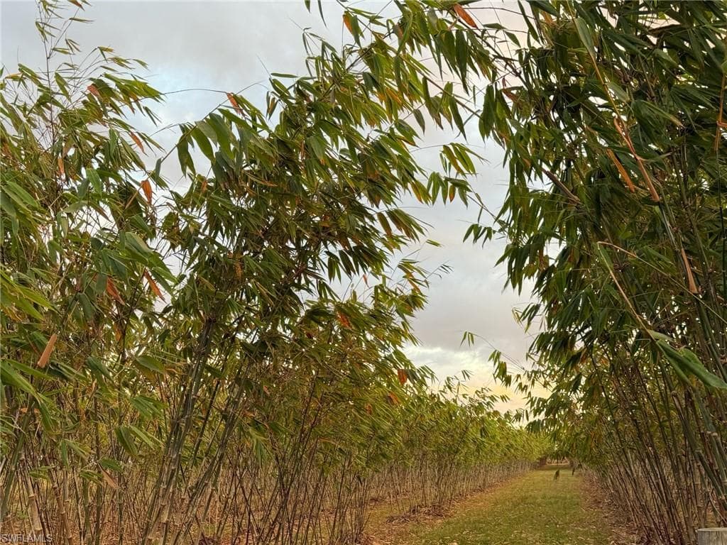 6724 5th RD, LABELLE FL 33935-10