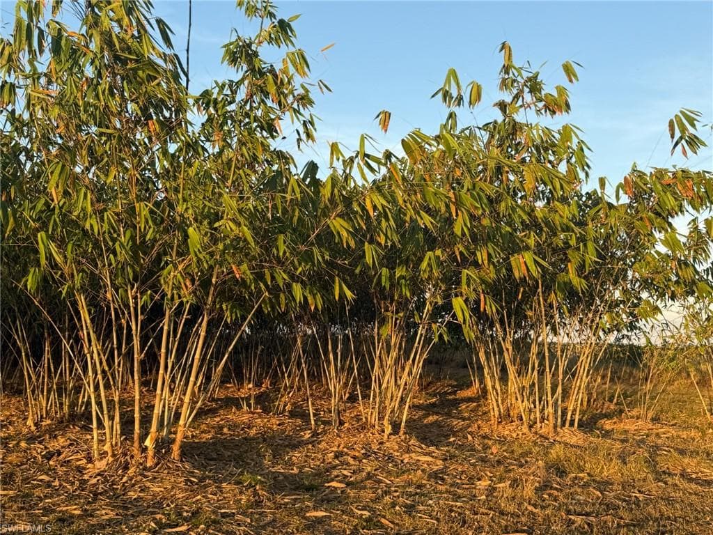 6724 5th RD, LABELLE FL 33935-3