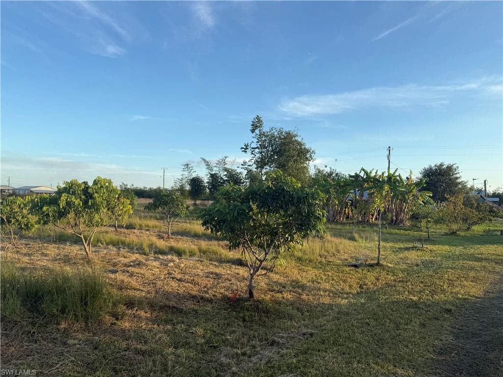 6724 5th RD, LABELLE FL 33935-7