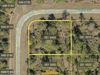 335 Tyrone AVE, LEHIGH ACRES FL 33972-1