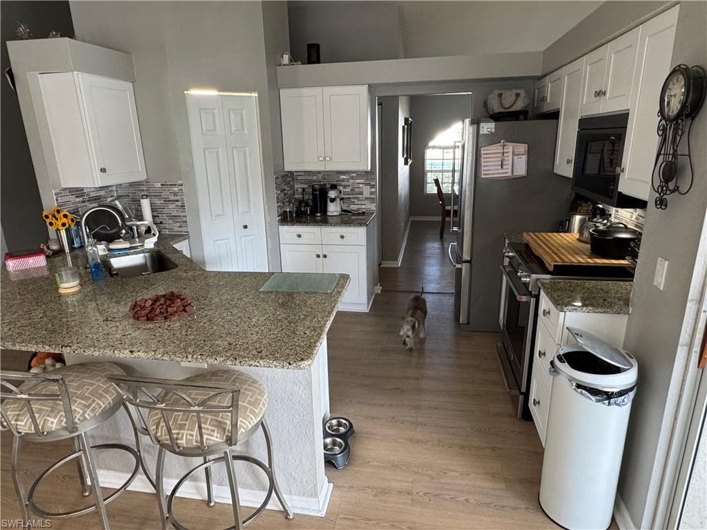 13681 Willow Bridge DR, NORTH FORT MYERS FL 33903-5