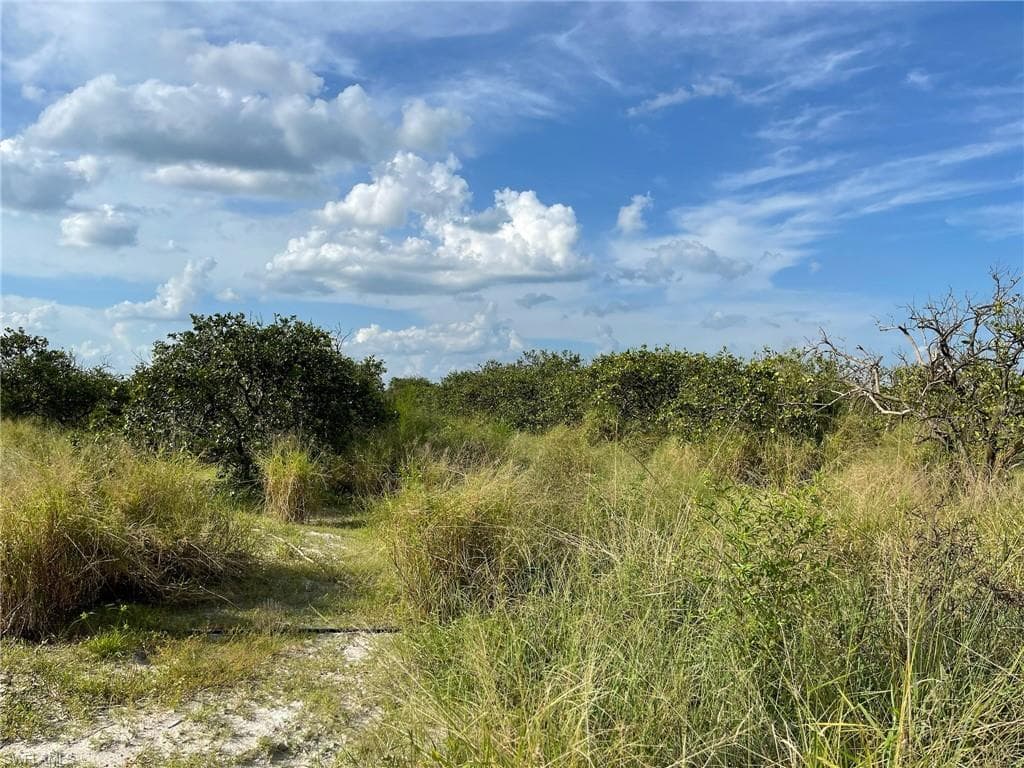 6876 5th RD, LABELLE FL 33935-2