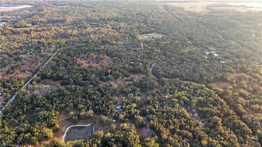 8056 SW Horse Creek RD, ARCADIA FL 34266-38