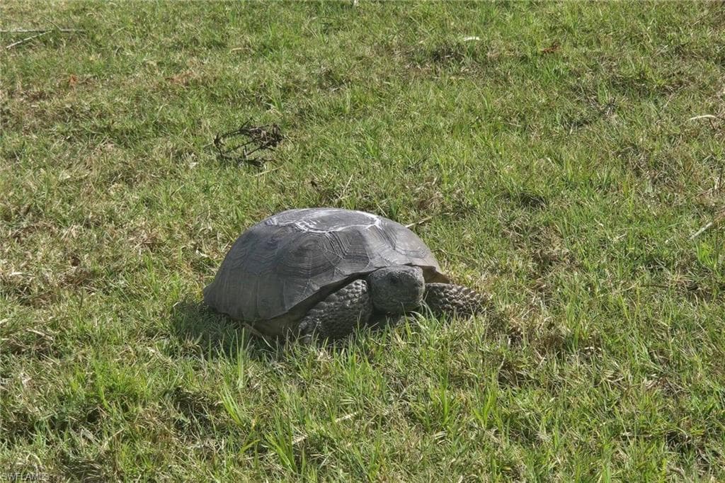 6142 Calusa Ridge TRL, BOKEELIA FL 33922-32