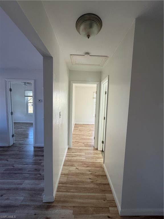 1006 Virginia AVE, CLEWISTON FL 33440-15