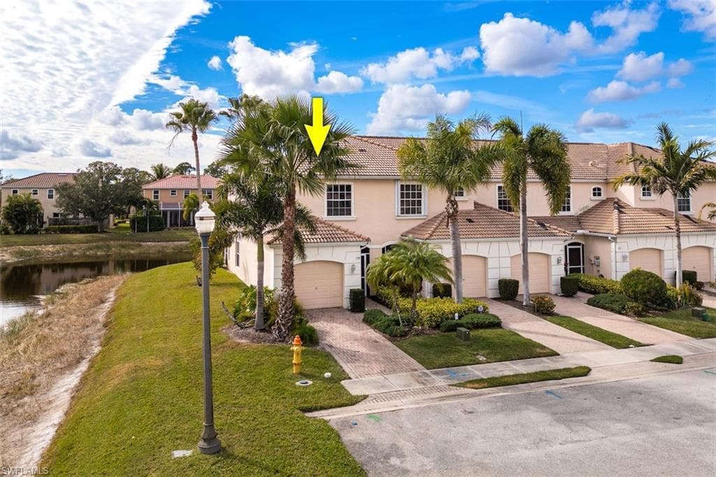 1338 Weeping Willow CT-1