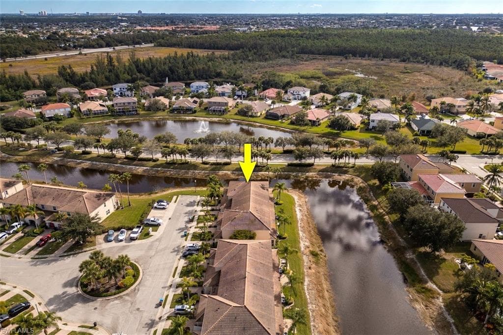 1338 Weeping Willow CT-31
