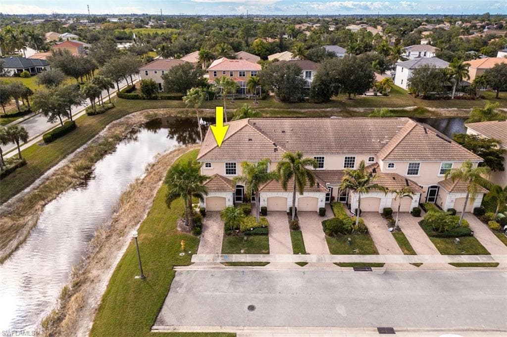 1338 Weeping Willow CT-29