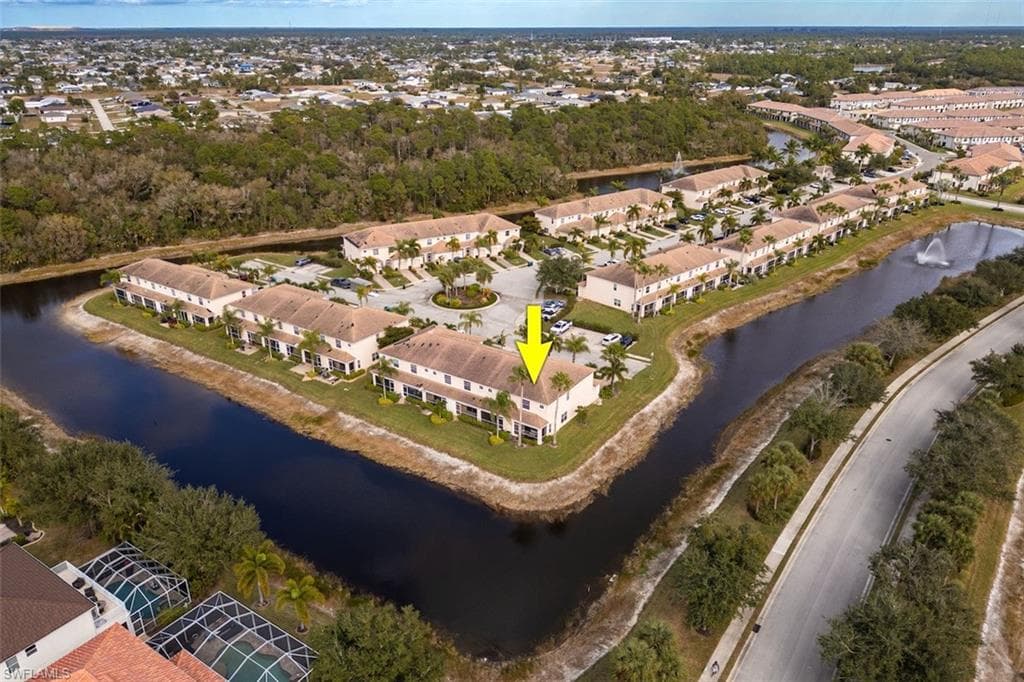 1338 Weeping Willow CT-33