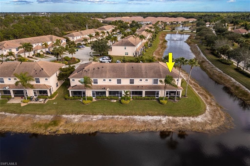 1338 Weeping Willow CT-30