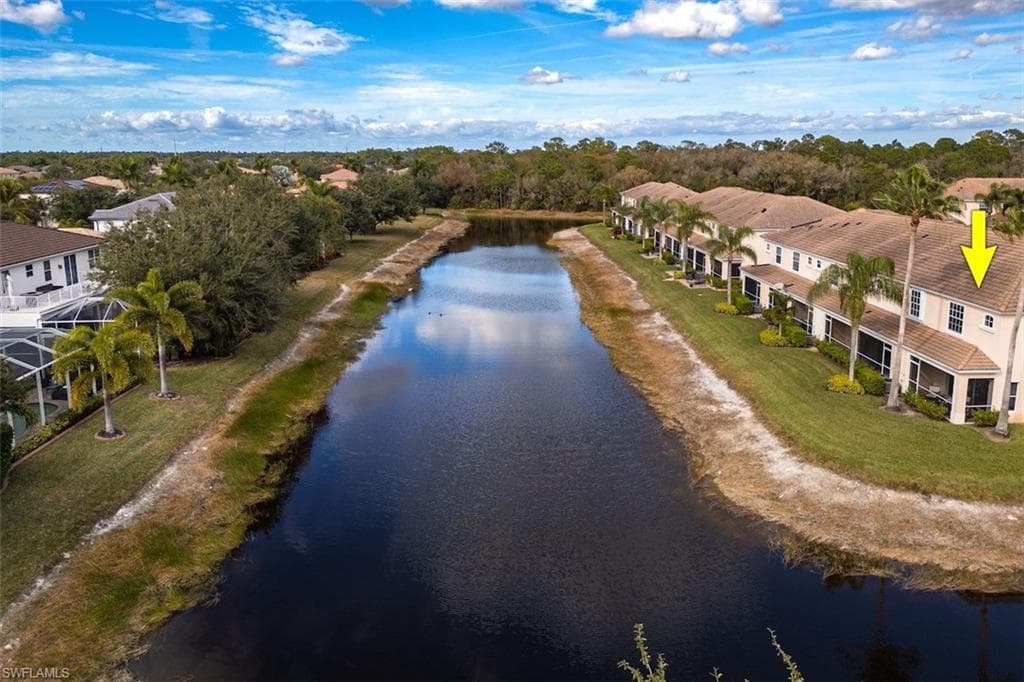 1338 Weeping Willow CT-28