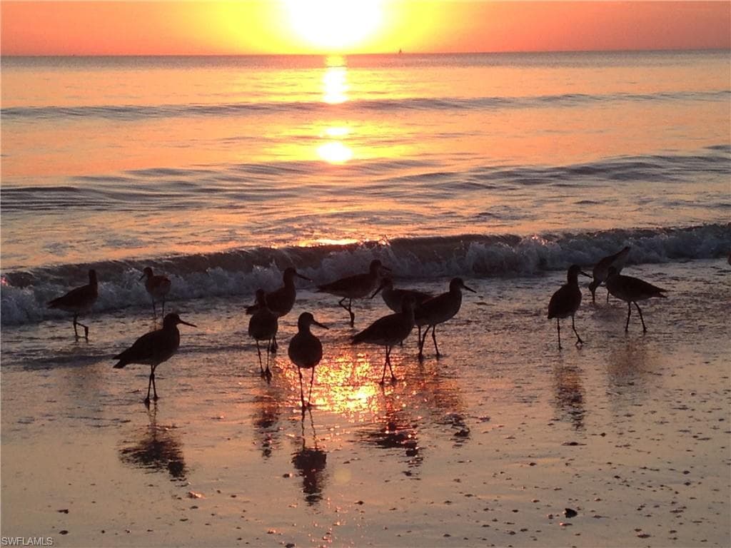 2800 Estero BLVD, FORT MYERS BEACH FL 33931-48