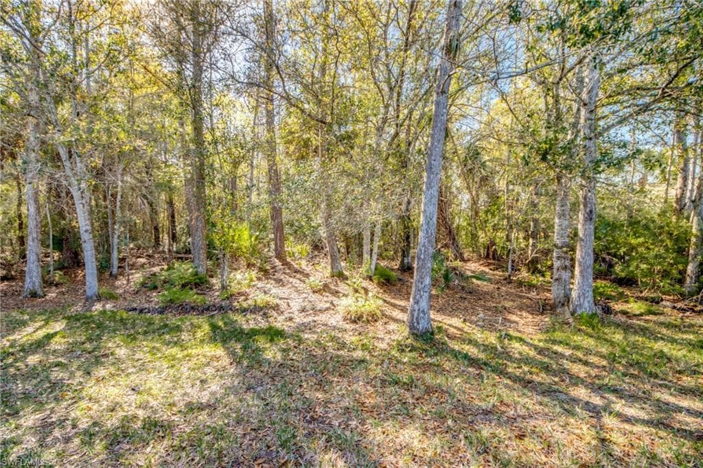 10600 Tirano CT, FORT MYERS FL 33913-36