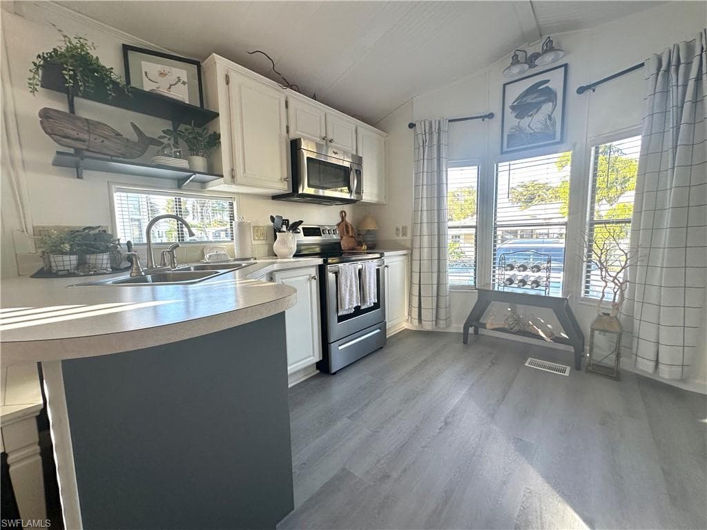 10847 Bonapartes Gull, ESTERO FL 33928-18