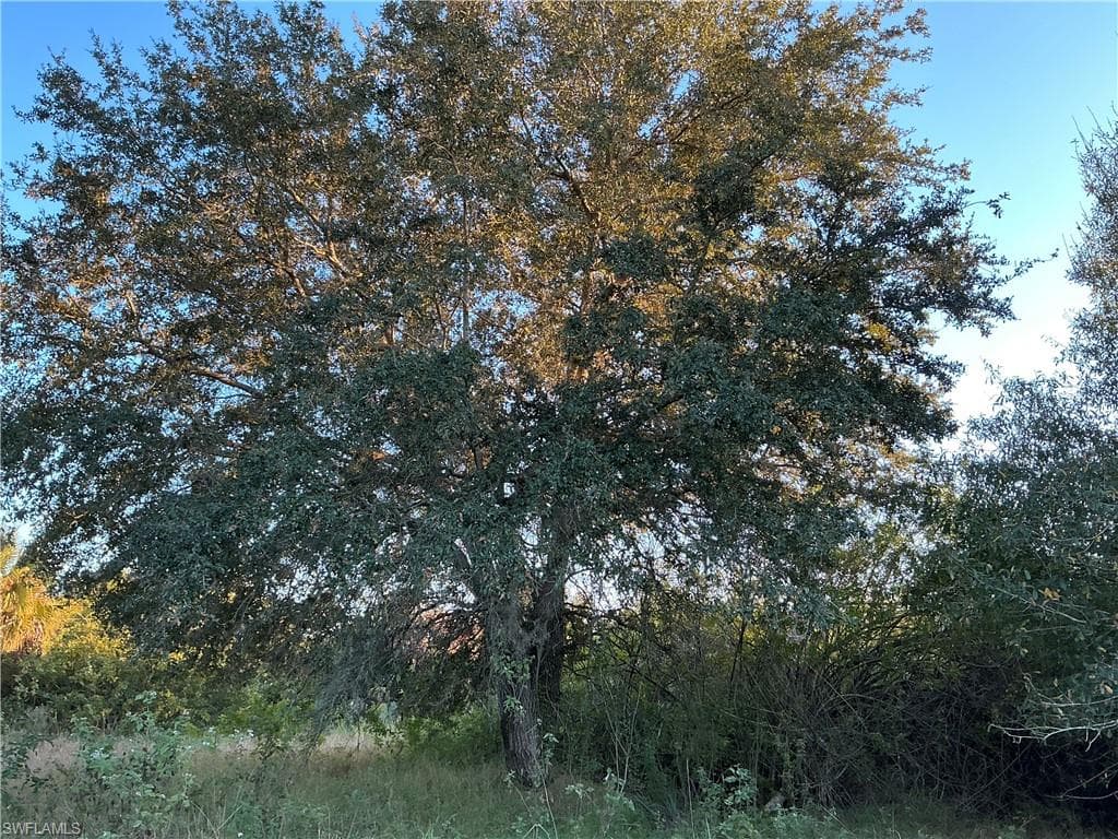 5801 4th RD, LABELLE FL 33935-4