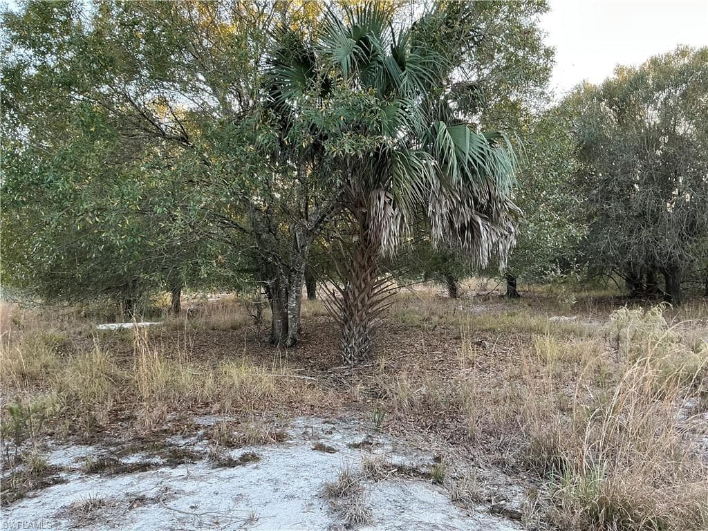 5801 4th RD, LABELLE FL 33935-3