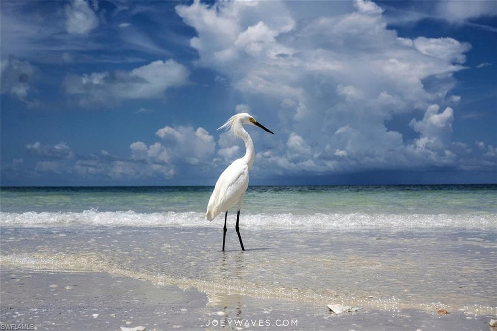 1170 Edington PL # A1, MARCO ISLAND FL 34145-46
