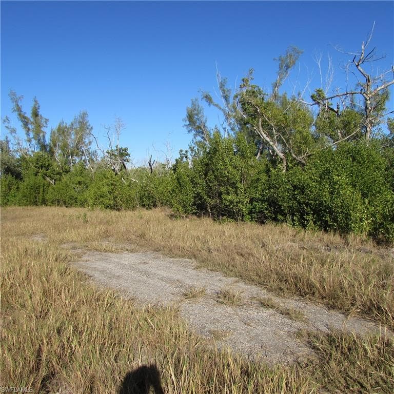 Ficus Tree, BOKEELIA FL 33922-5