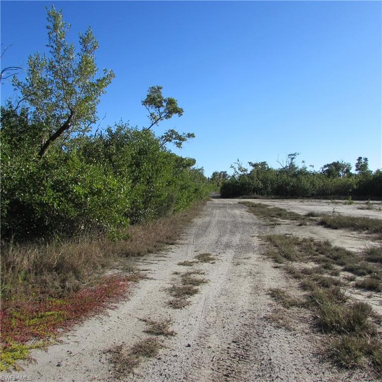 Ficus Tree, BOKEELIA FL 33922-2