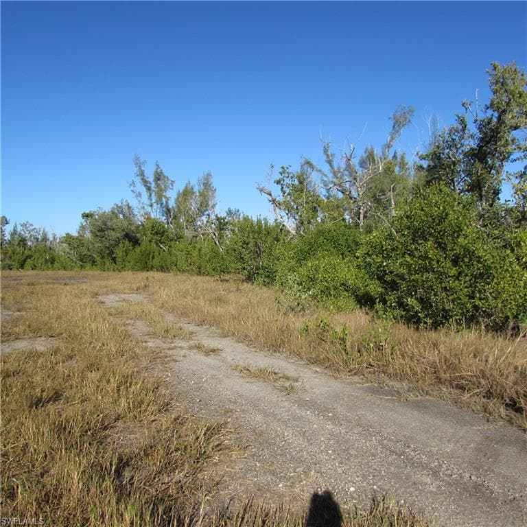Ficus Tree, BOKEELIA FL 33922-3