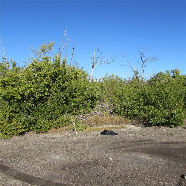 13686 Ficus Tree LN, BOKEELIA FL 33922-1