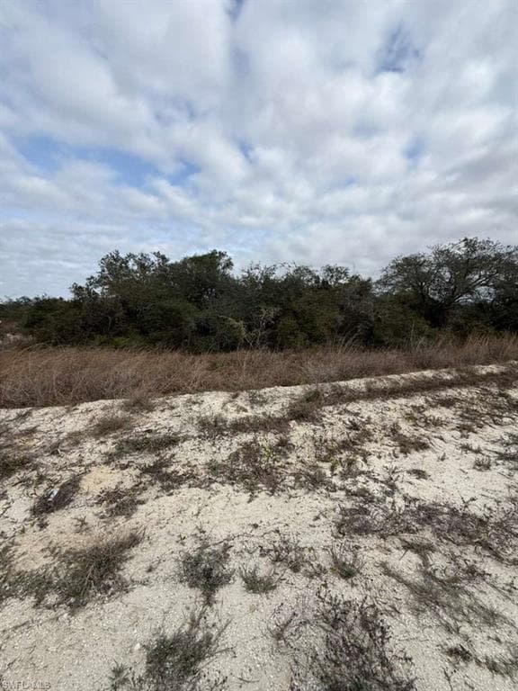 446 Fawnwood AVE, LAKE PLACID FL 33852-5