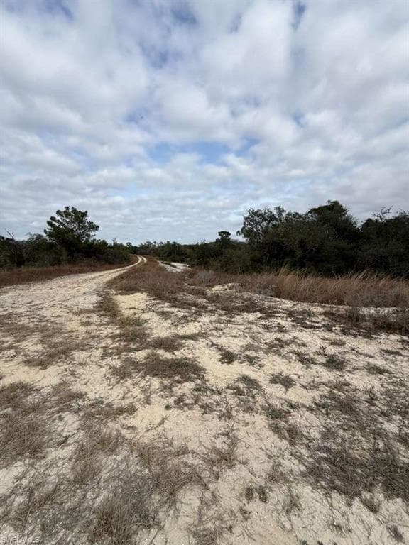 446 Fawnwood AVE, LAKE PLACID FL 33852-4