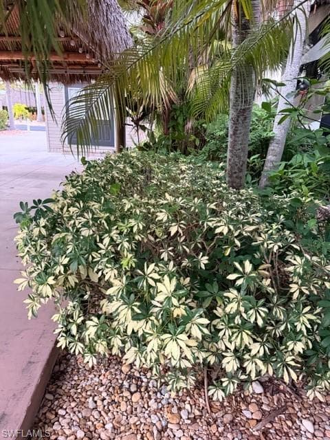 10212 Yellowtop TRL, FORT MYERS FL 33905-8