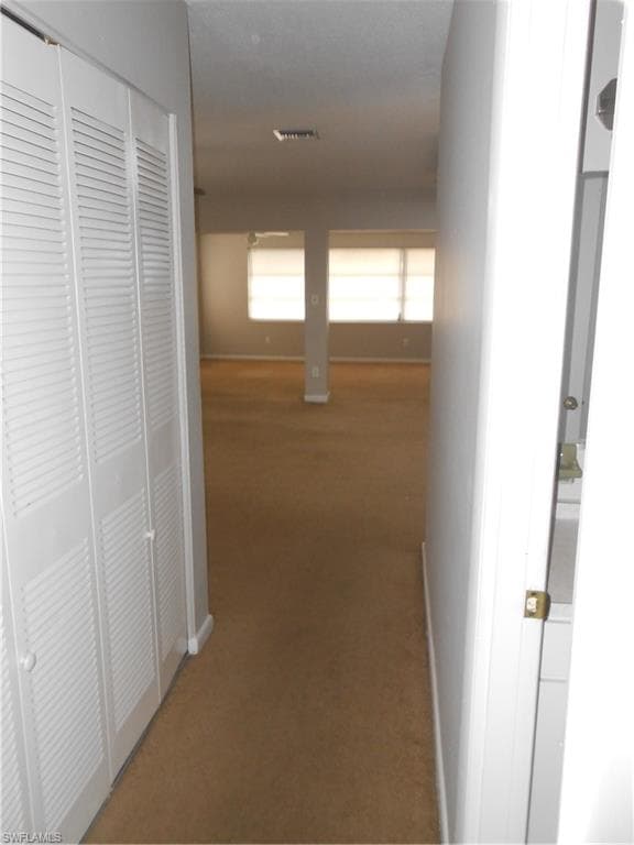 241 Thistle CT-23