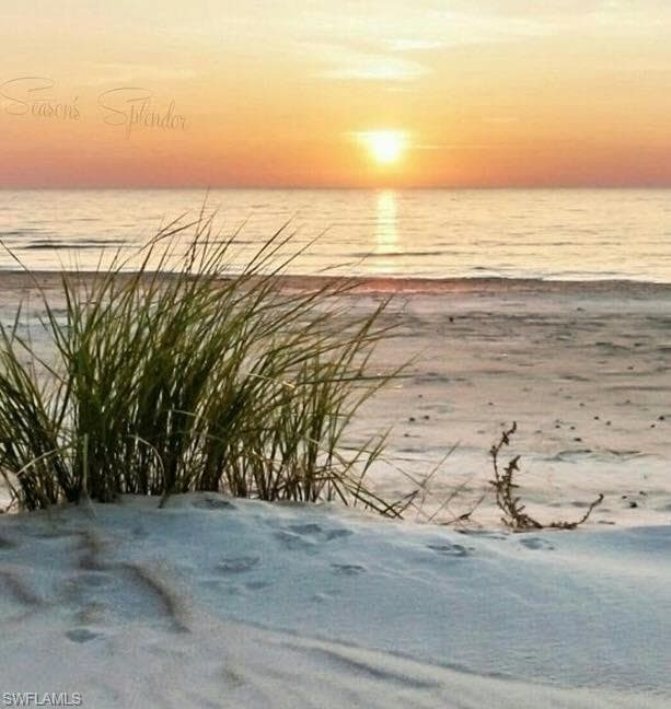 18120 San Carlos BLVD # 805, FORT MYERS BEACH FL 33931-37