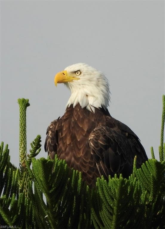 6986 Winkler RD, FORT MYERS FL 33919-45