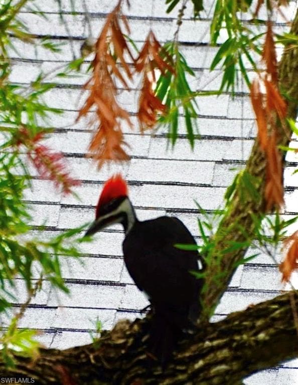 6986 Winkler RD, FORT MYERS FL 33919-49