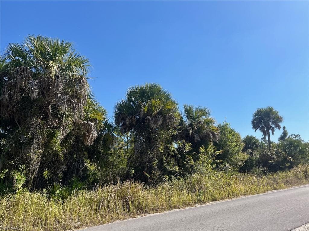 Dove Tree ST, NAPLES FL 34117-1