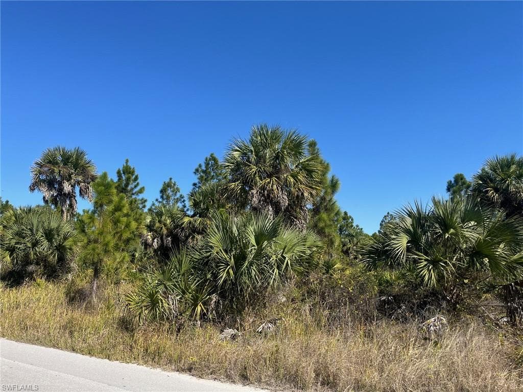 Dove Tree ST, NAPLES FL 34117-2