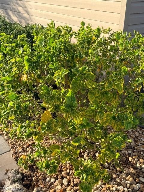 5208 Marsh Mallow TRL, FORT MYERS FL 33905-21