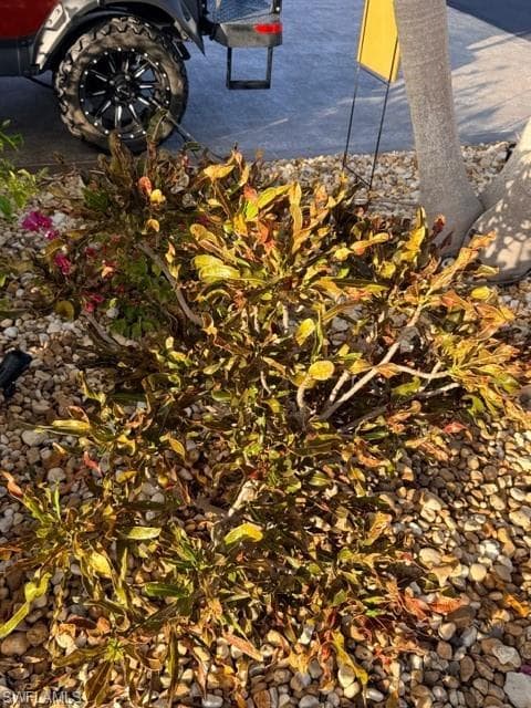 5208 Marsh Mallow TRL, FORT MYERS FL 33905-20