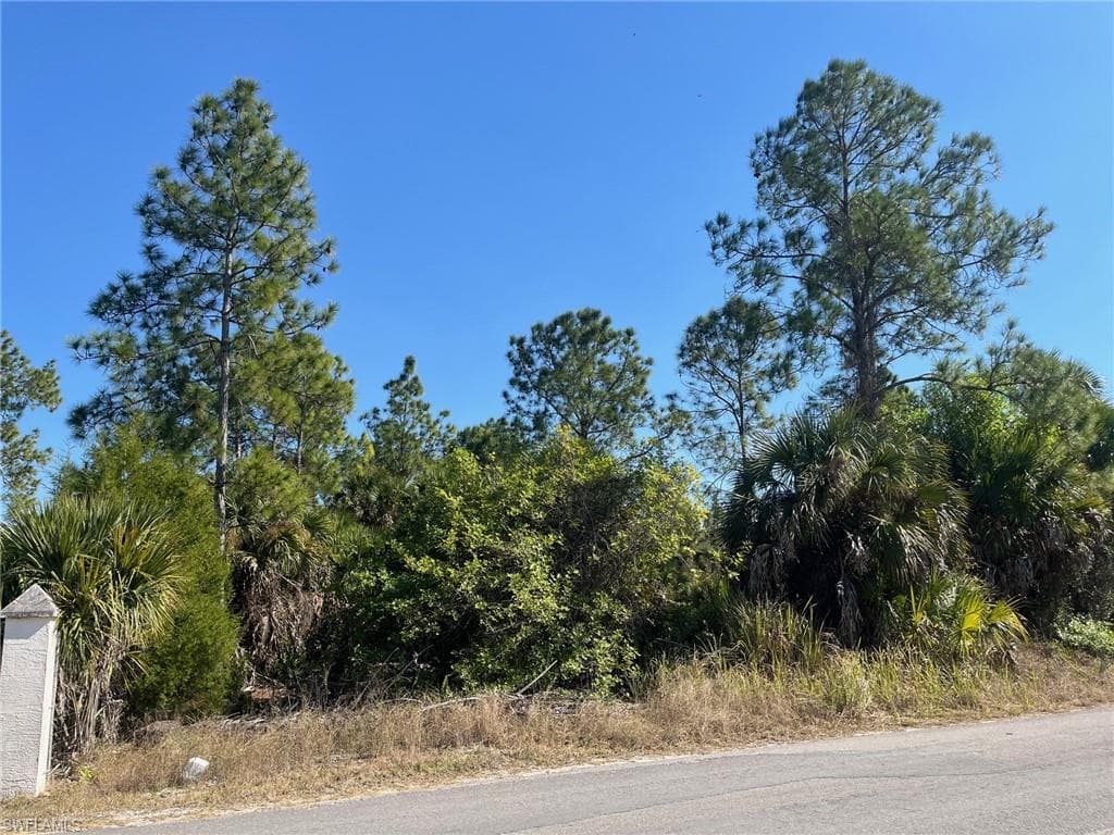 Dove Tree ST, NAPLES FL 34117-1