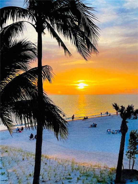 29115 Teramo WAY, NAPLES FL 34110-44