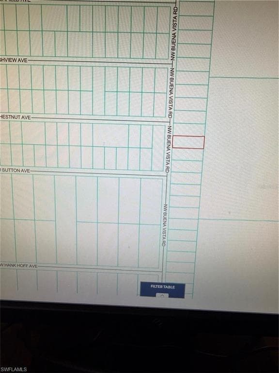 TBD NW BUENA VISTA RD, DUNNELLON FL 34431-1