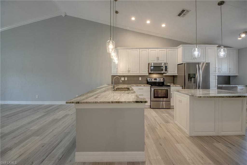 12520 Cold Stream DR # 209, FORT MYERS FL 33912-6