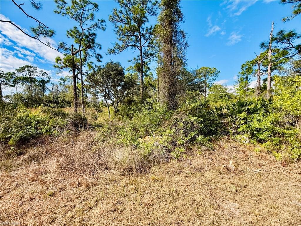 2007 Truman AVE, ALVA FL 33920-1