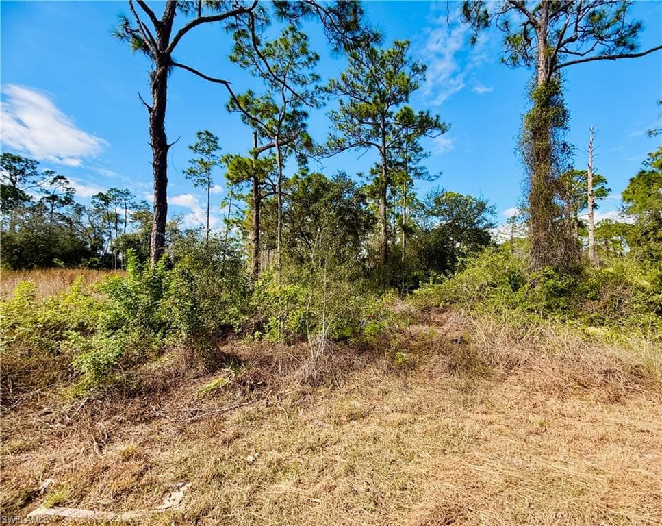 2007 Truman AVE, ALVA FL 33920-2