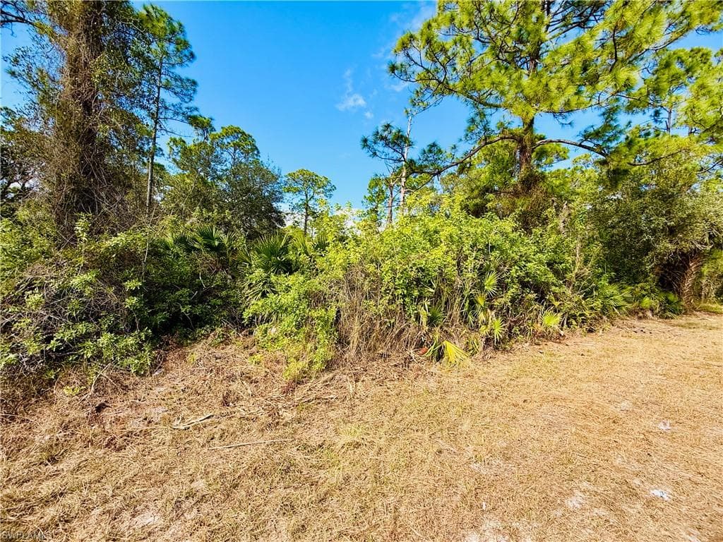 2007 Truman AVE, ALVA FL 33920-4