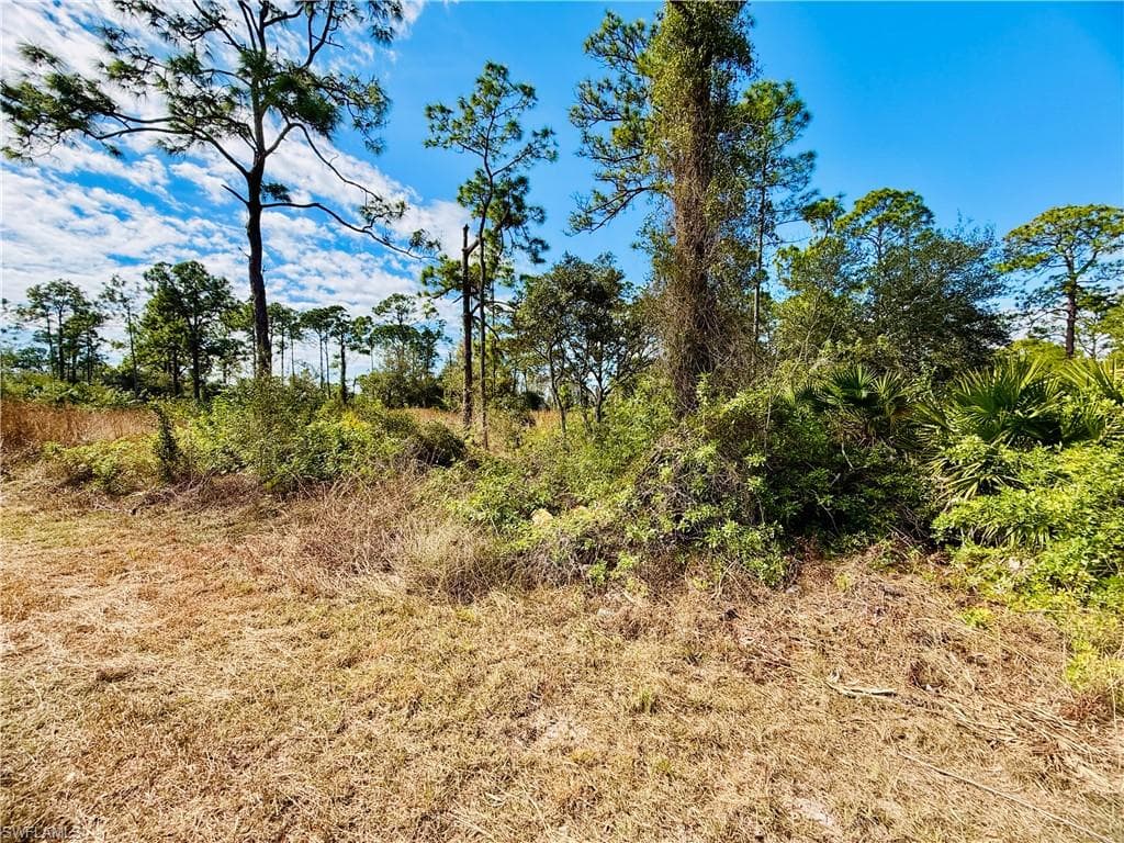 2007 Truman AVE, ALVA FL 33920-3